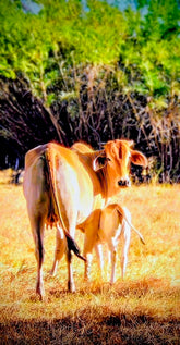 2470804 :: Giclée Fine Art Matte Paper Print